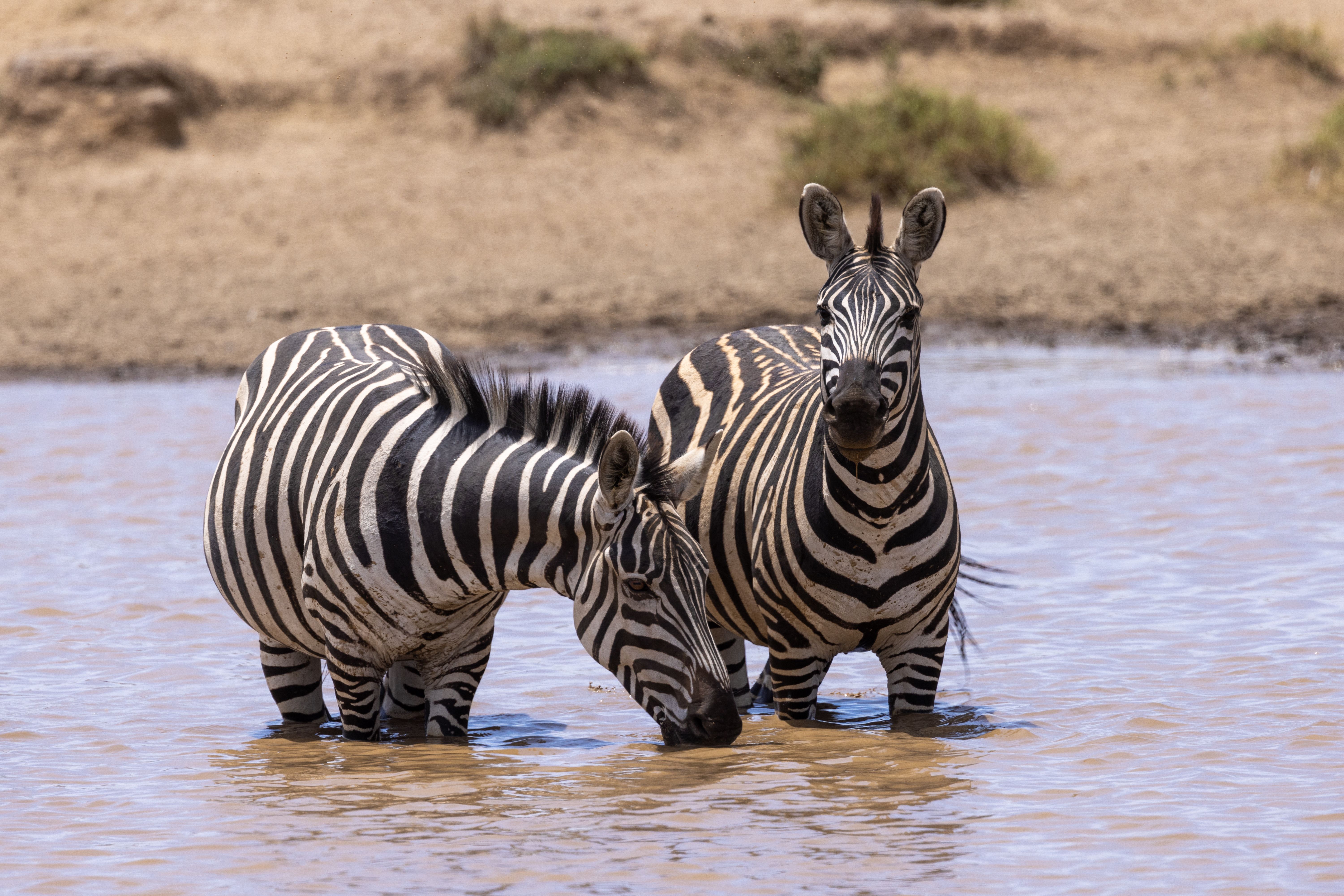 3 days Masai Mara