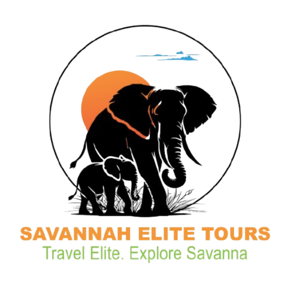 Savannah Elite Tours